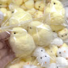 Slow Rebound Chick Squishy Toy
