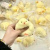 Slow Rebound Chick Squishy Toy