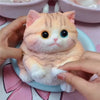 Cat Squishy Desk Toy