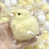 Slow Rebound Chick Squishy Toy
