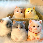 Cat Squishy Desk Toy