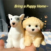 Realistic Puppy Squishy Fidget Toy